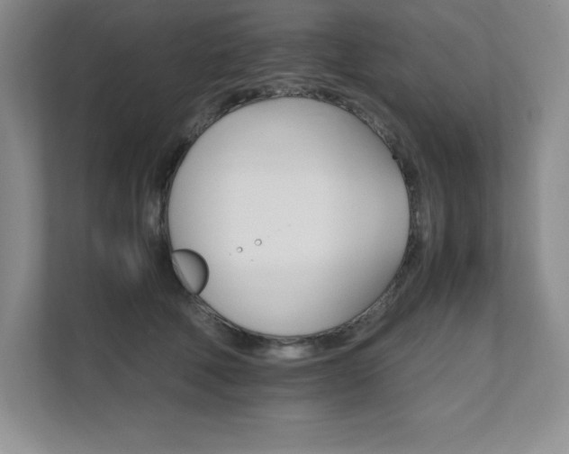 X0000111680610200907171635