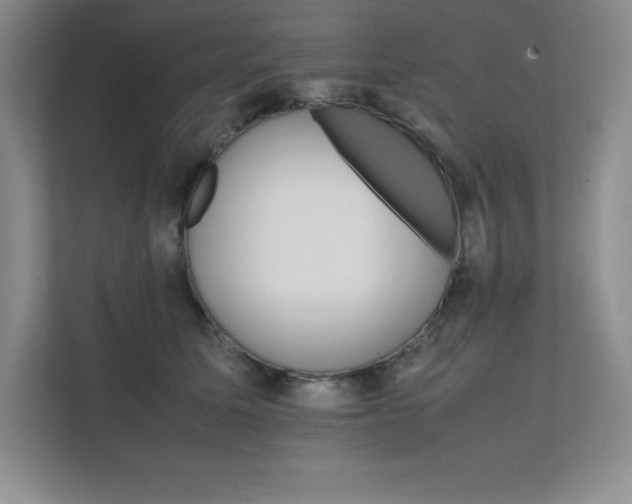 X0000111680611200907171635