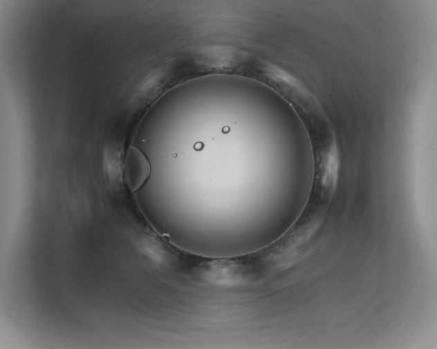 X0000111680612200907171635