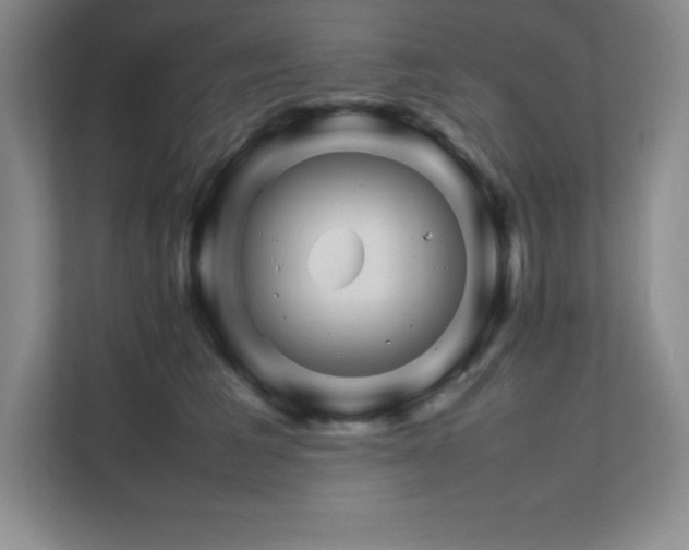 X0000111680613200907171635