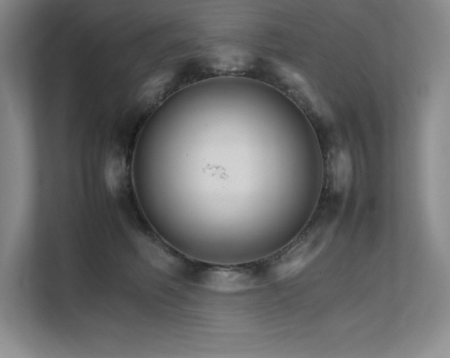 X0000111680614200907171635