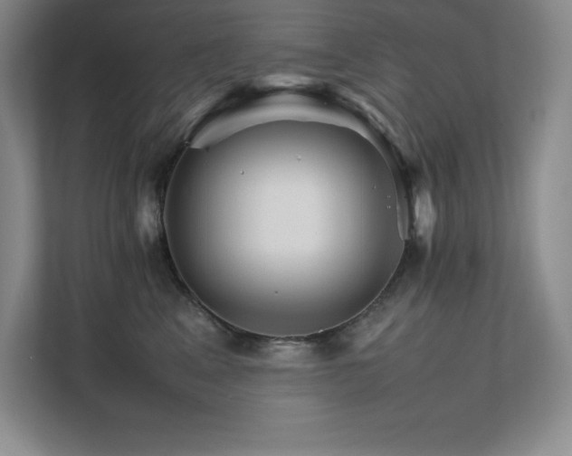 X0000111680617200907171635