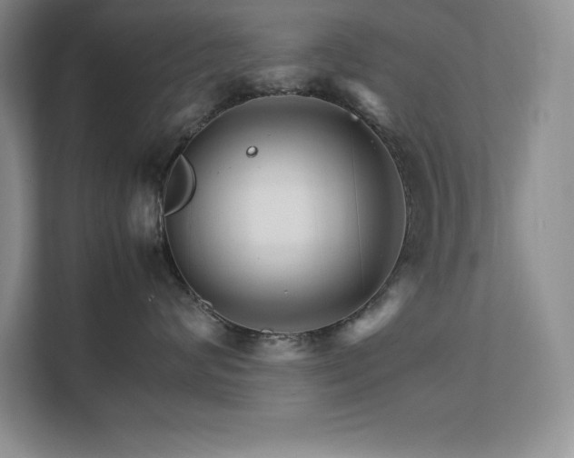 X0000111680624200907171635