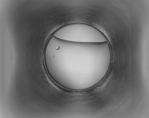 X0000111680625200907171634