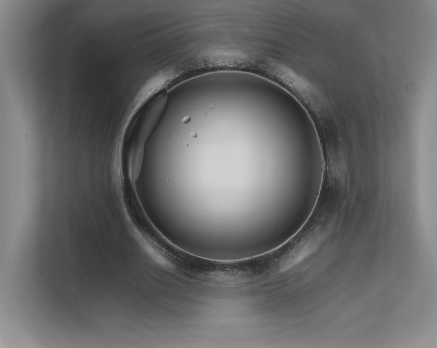 X0000111680630200907171634