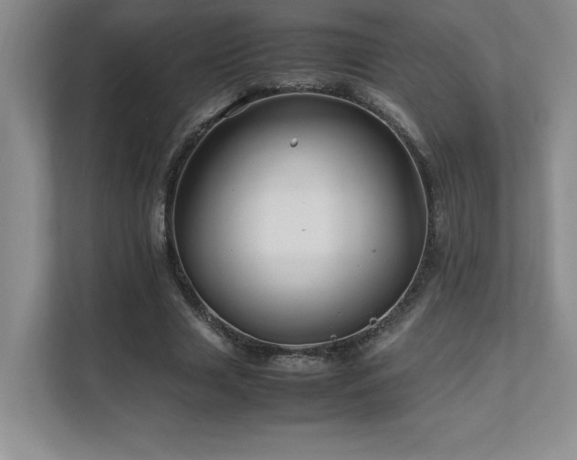 X0000111680633200907171634