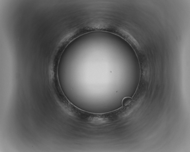 X0000111680635200907171634