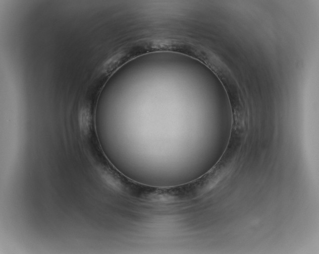 X0000111680648200907171635