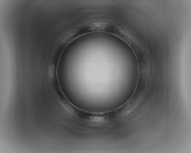 X0000111680649200907171635