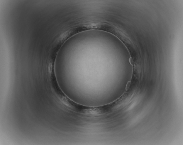 X0000111680652200907171635