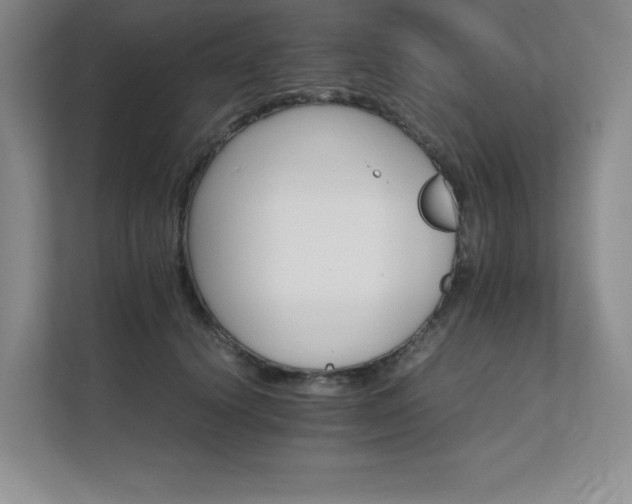 X0000111680656200907171635