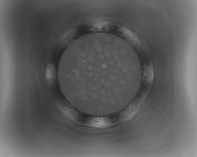 X0000111680659200907171635