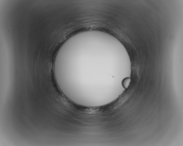 X0000111680660200907171635