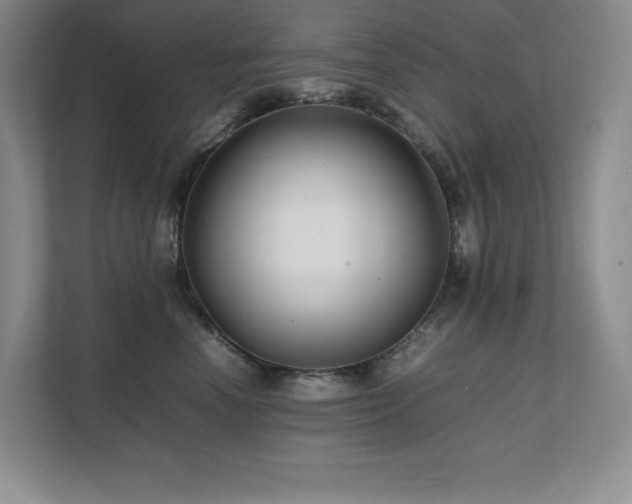 X0000111680666200907171635