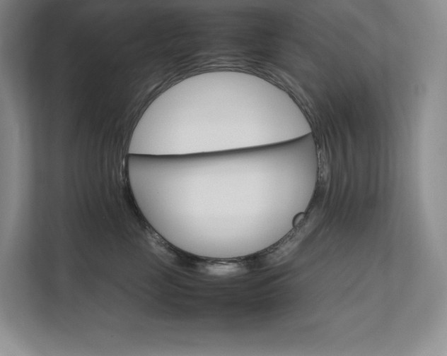 X0000111680669200907171635