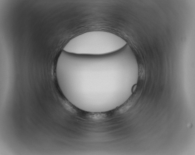 X0000111680670200907171635