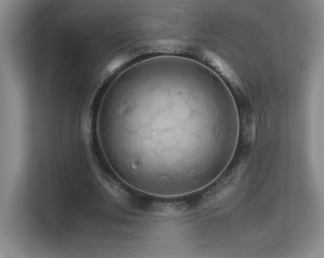 X0000111680679200907171634