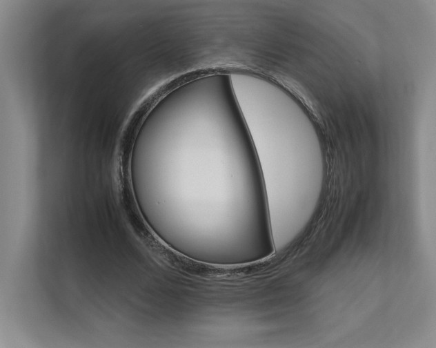 X0000111680680200907171634