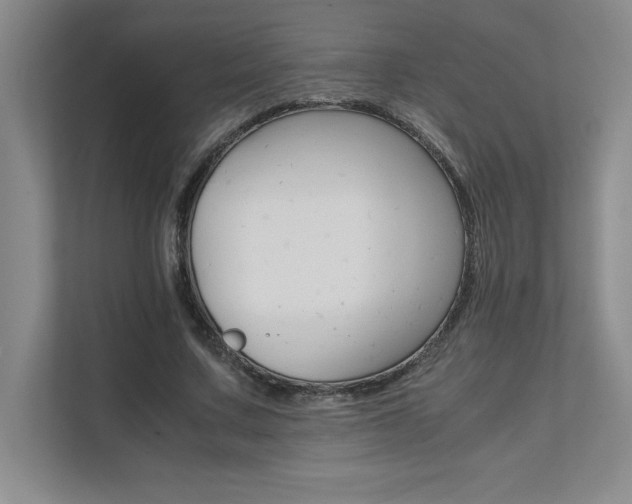 X0000111680683200907171634