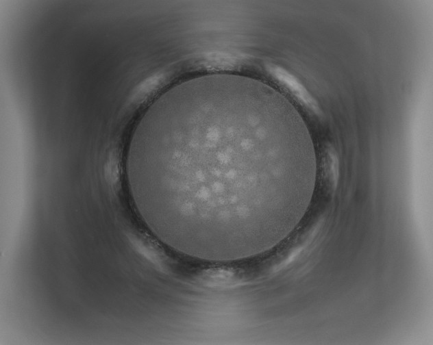 X0000111680687200907171634