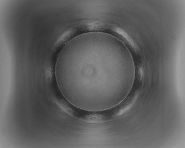 X0000111680691200907171634