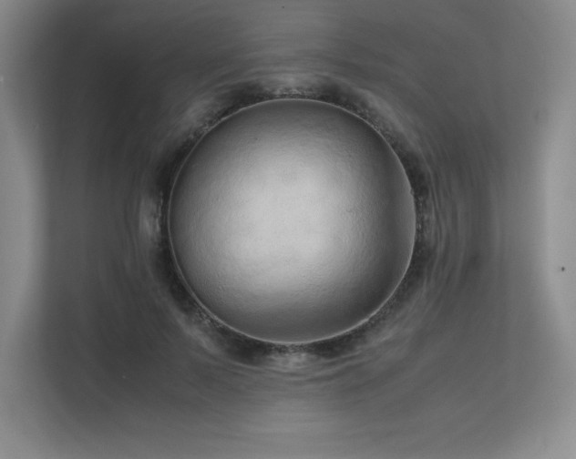 X0000111680695200907171634