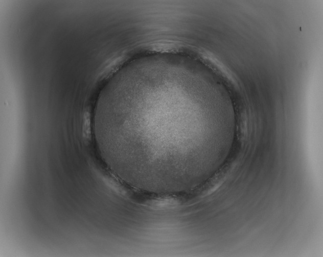 X0000111680696200907171634