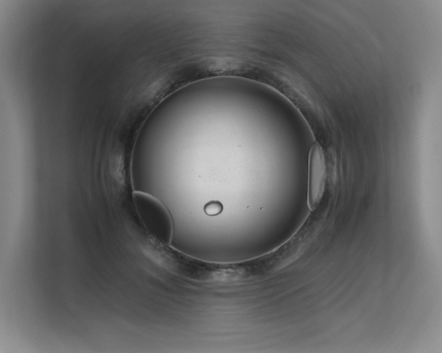 X0000111680700200907171634