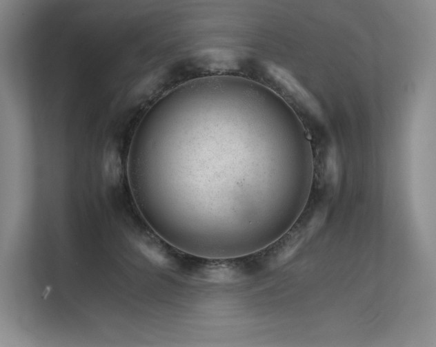 X0000111680704200907171634