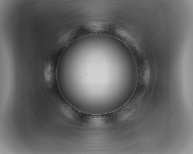 X0000111680710200907171634