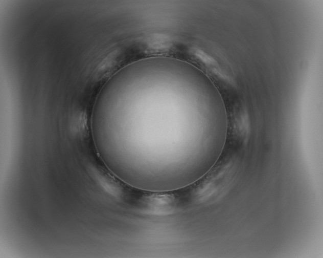 X0000111680711200907171634