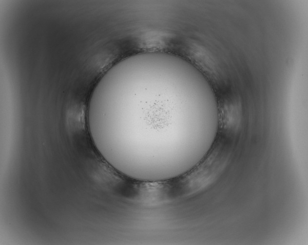 X0000111680717200907171634