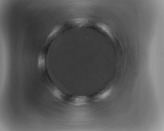 X0000111680720200907171634