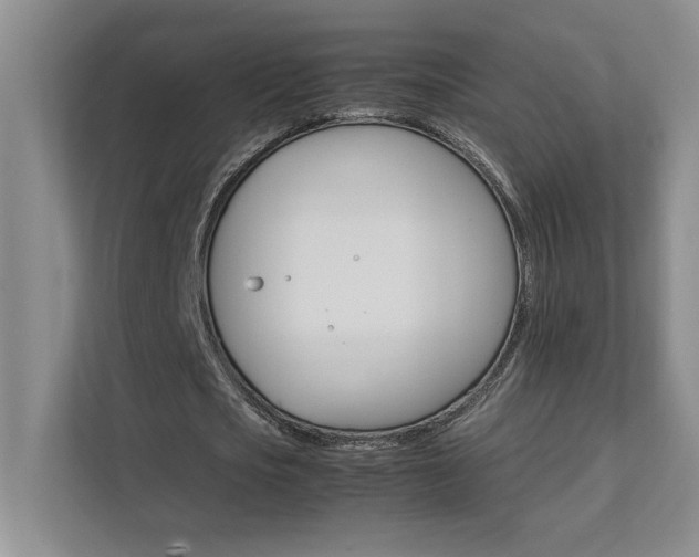 X0000111680721200907171633