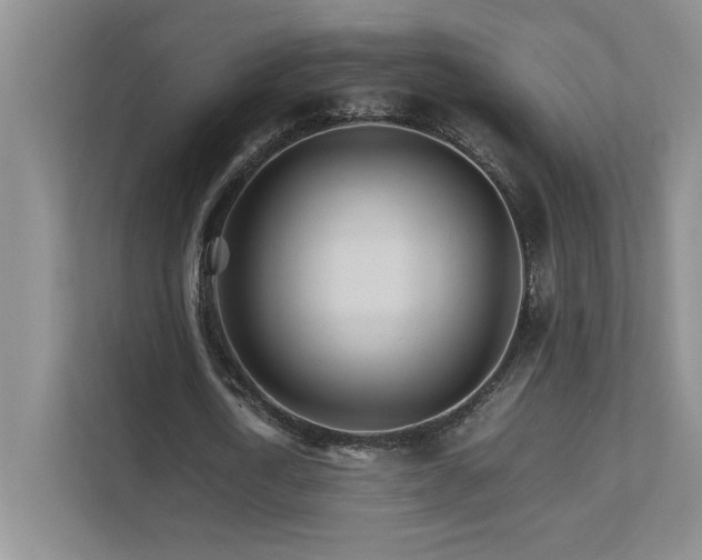 X0000111680722200907171633