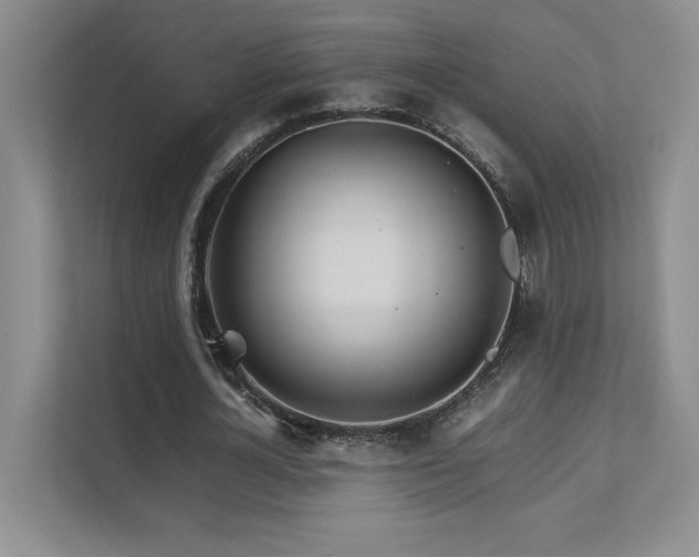 X0000111680724200907171633