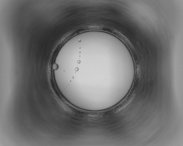 X0000111680725200907171633