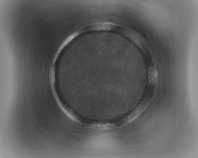 X0000111680726200907171633