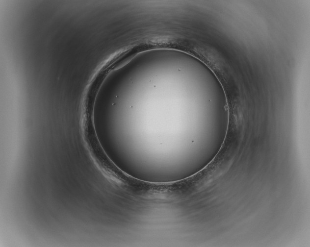 X0000111680728200907171633