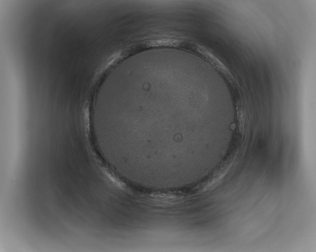 X0000111680729200907171633