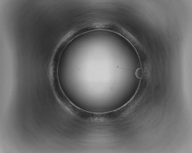 X0000111680730200907171633