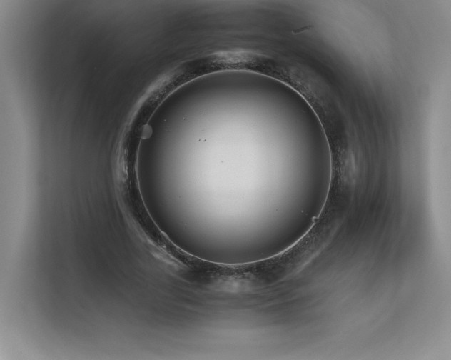 X0000111680731200907171633