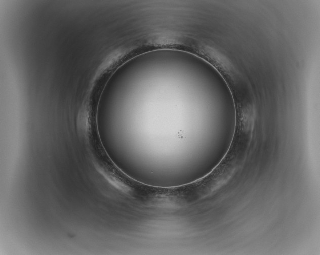 X0000111680732200907171633