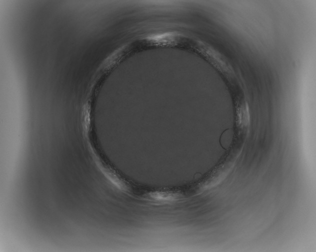 X0000111680733200907171633