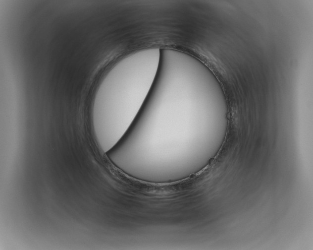 X0000111680735200907171633