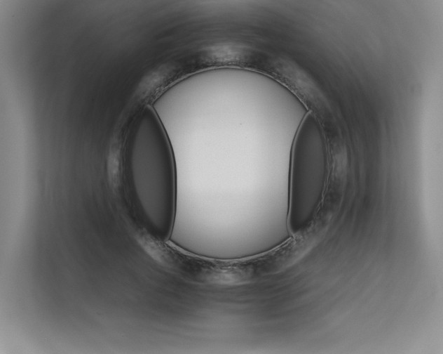 X0000111680736200907171633