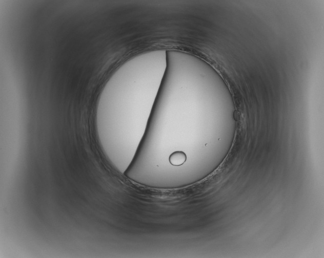 X0000111680739200907171633