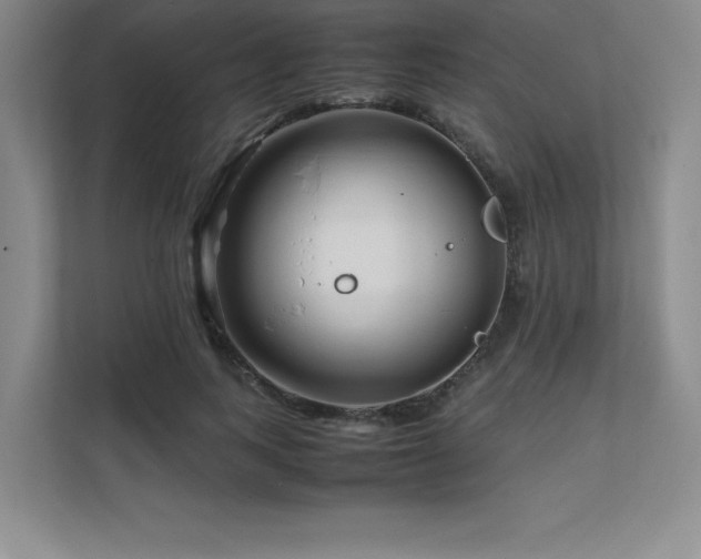 X0000111680743200907171633