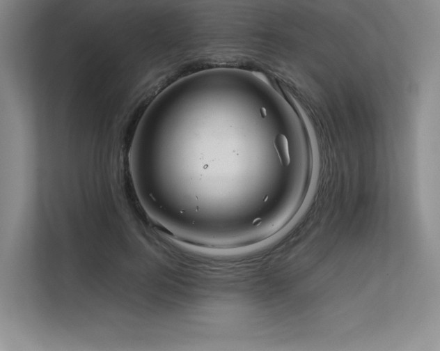 X0000111680744200907171633