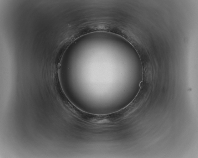 X0000111680747200907171633